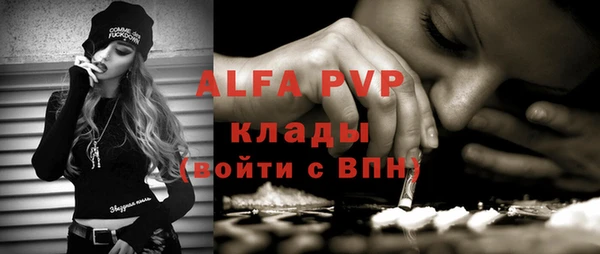 дмт Бородино