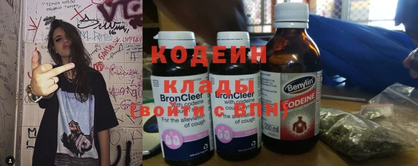 прущие грибы Бугульма