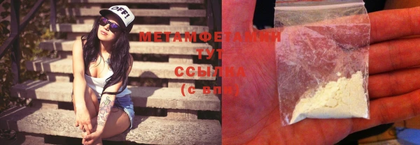 прущие грибы Бугульма